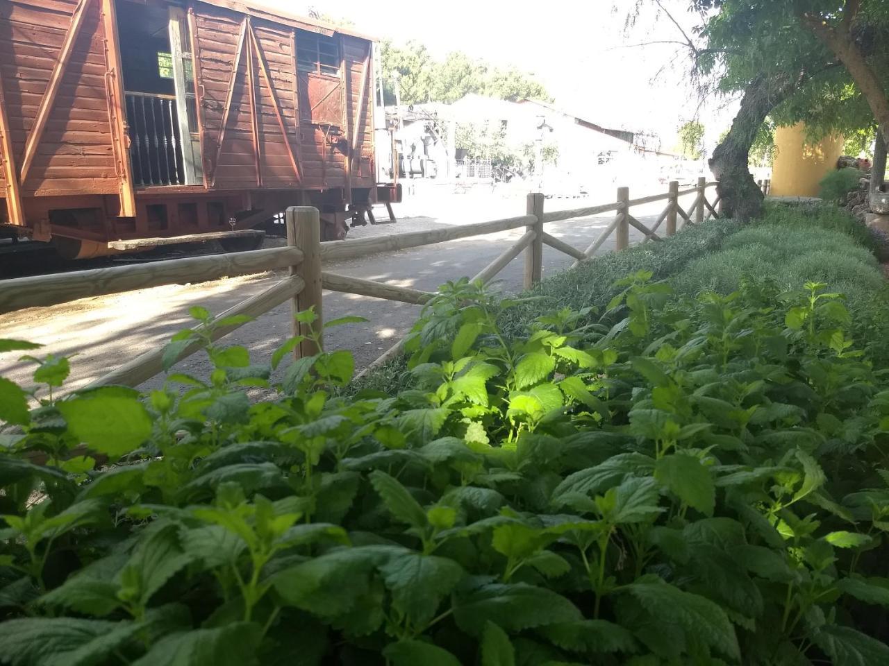 Hostal Nicol'S Hotel Luque Exterior photo